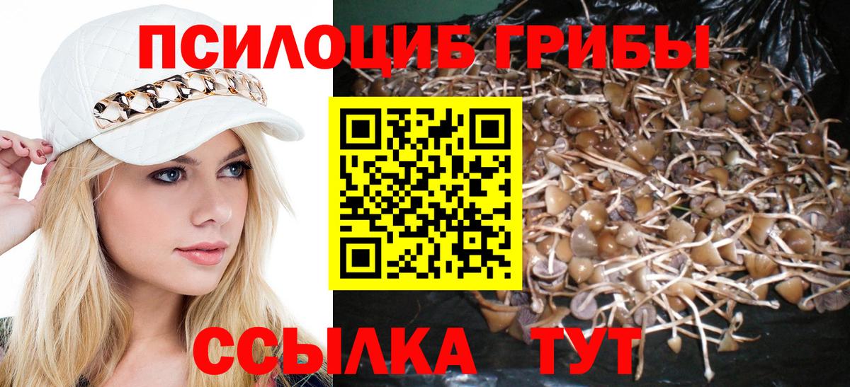 Псилоцибиновые грибы прущие грибы Ишимбай